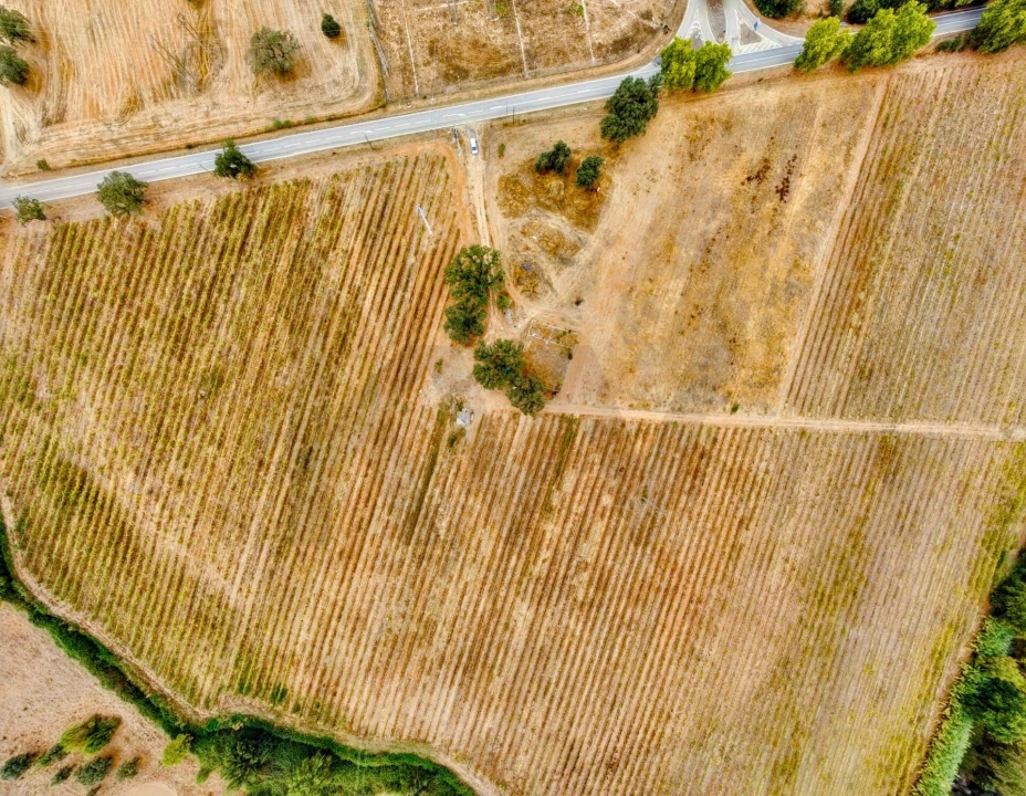 Terreno para Venda em Terena (São Pedro) Foto 15