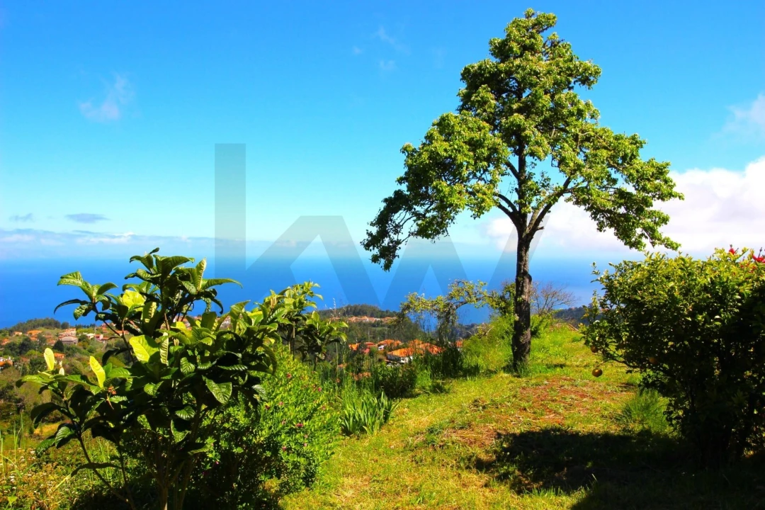 Moradia T2 para Venda em Gaula Foto 19