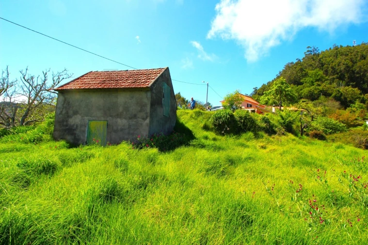 Moradia T2 para Venda em Gaula Foto 10