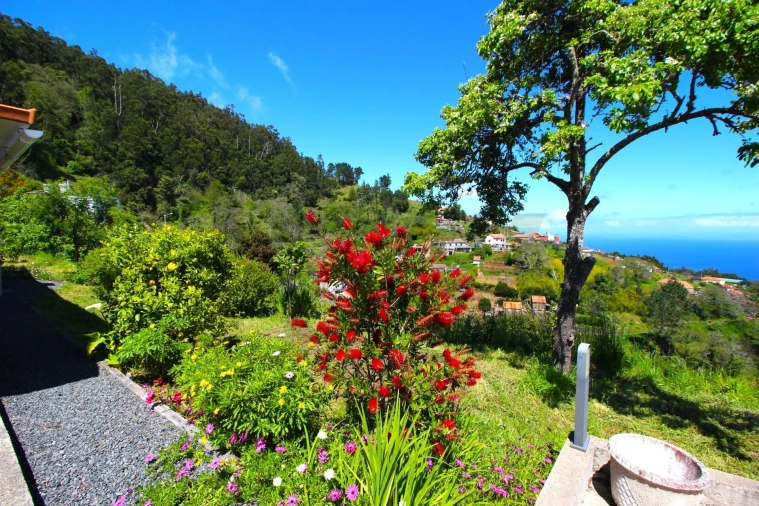 Moradia T2 para Venda em Gaula Foto 2