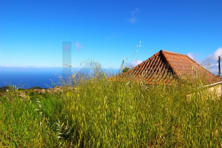 Moradia T2 para Venda em Gaula Foto 61