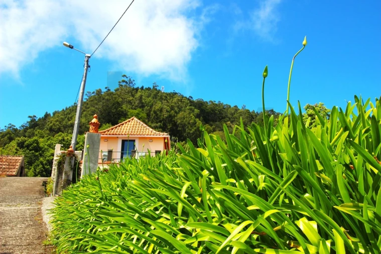 Moradia T2 para Venda em Gaula Foto 13