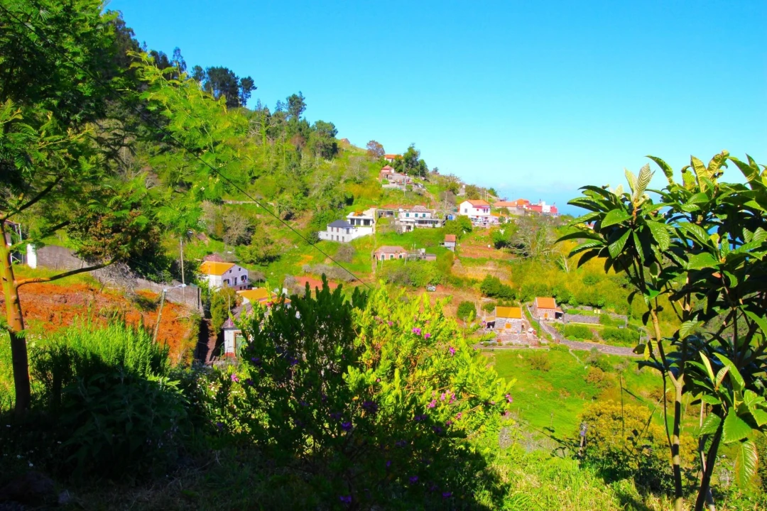 Moradia T2 para Venda em Gaula Foto 60