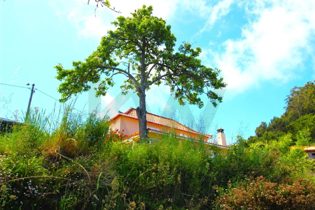 Moradia T2 para Venda em Gaula Foto 12