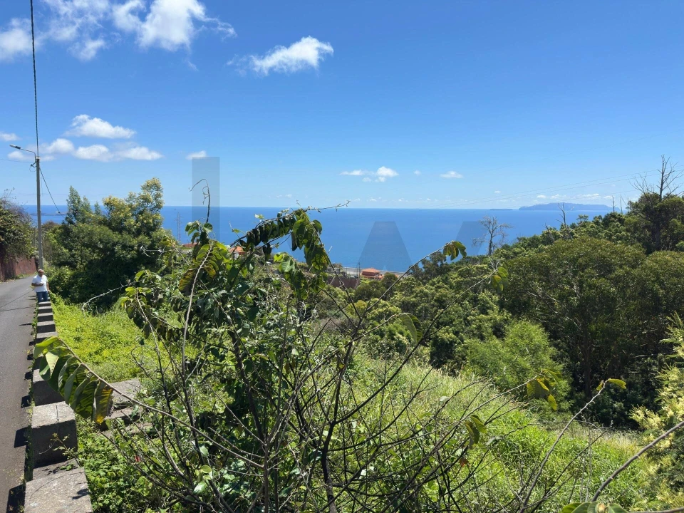 Terreno para Venda em Agua de Pena Foto 11