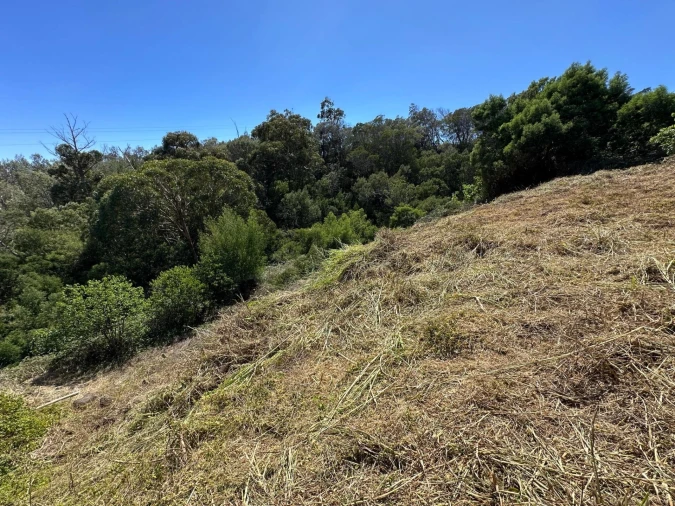 Terreno para Venda em Agua de Pena Foto 7
