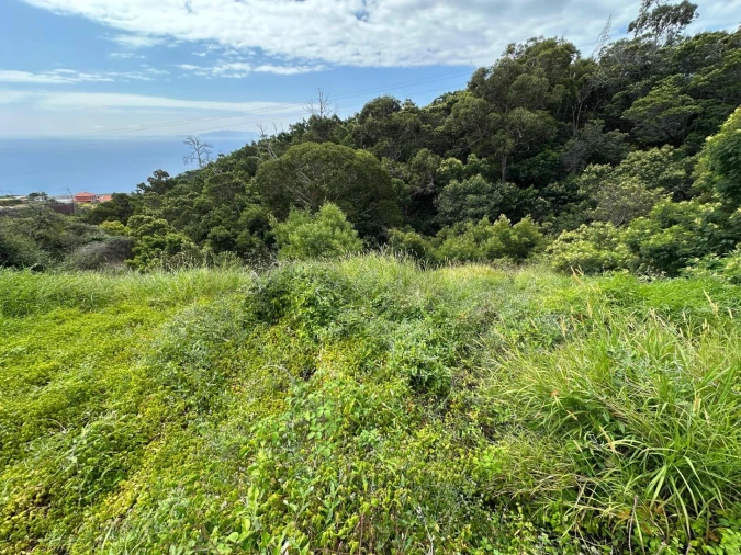 Terreno para Venda em Agua de Pena Foto 14