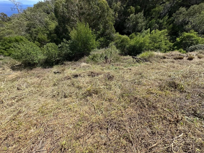 Terreno para Venda em Agua de Pena Foto 5