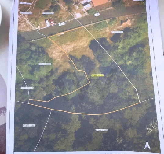 Terreno para Venda em Agua de Pena Foto 15