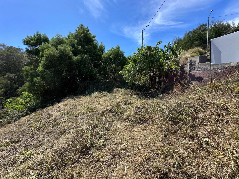 Terreno para Venda em Agua de Pena Foto 6