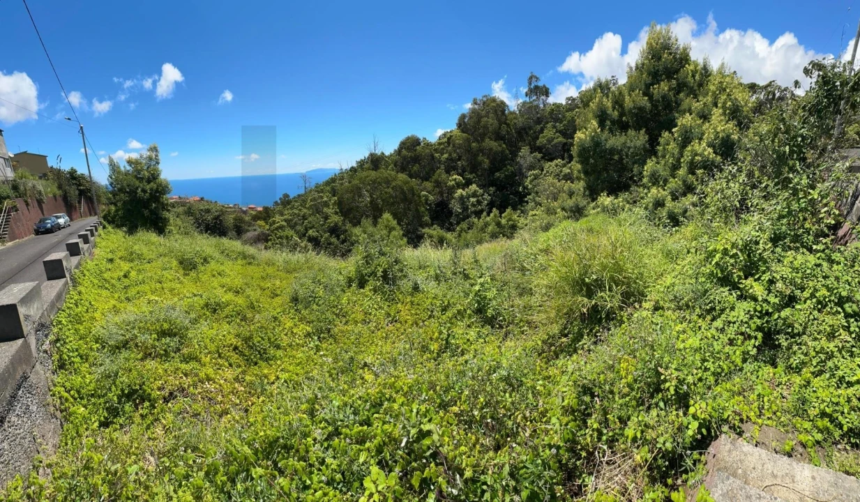Terreno para Venda em Agua de Pena Foto 9
