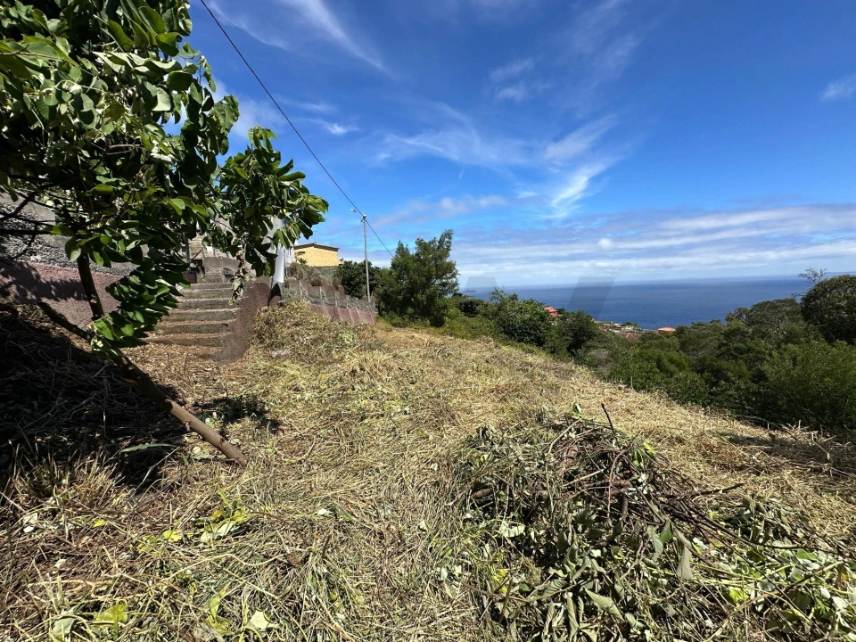 Terreno para Venda em Agua de Pena Foto 3