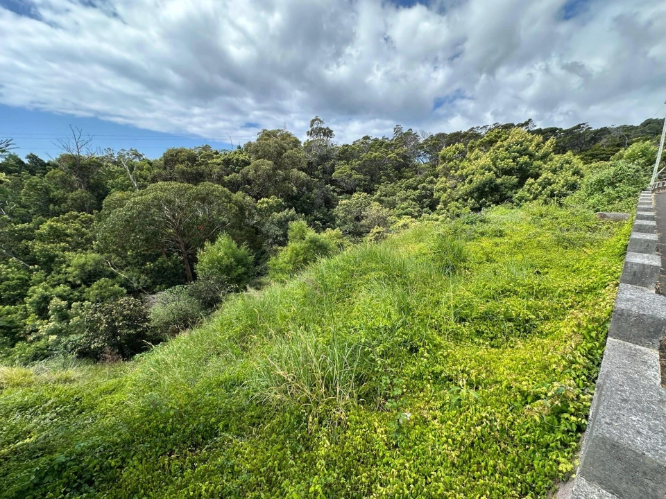 Terreno para Venda em Agua de Pena Foto 13