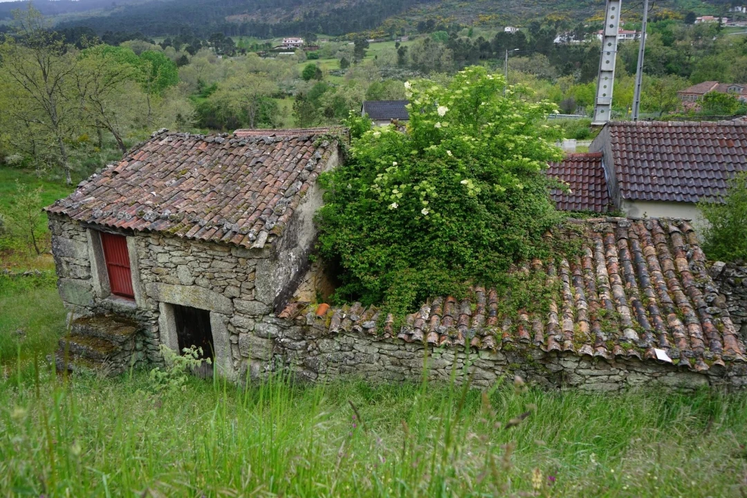 Moradia T4 para Venda em Aguiar da Beira e Coruche Foto 8