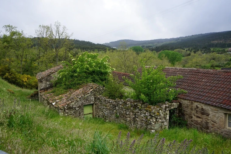 Moradia T4 para Venda em Aguiar da Beira e Coruche Foto 7
