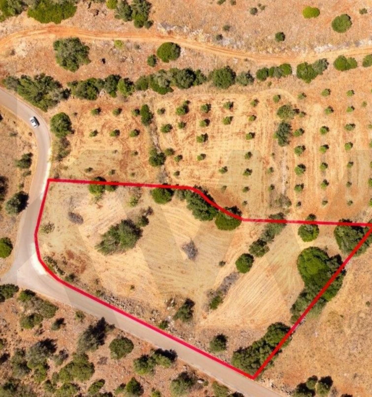 Terreno para Venda em São Bartolomeu de Messines Foto 17