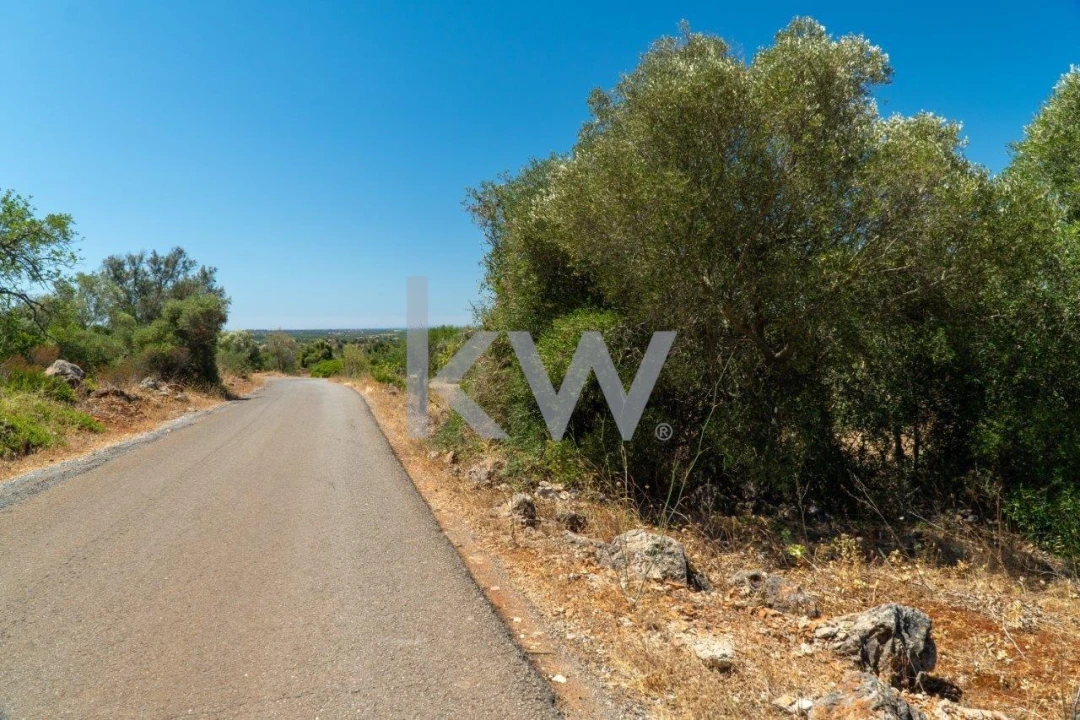 Terreno para Venda em São Bartolomeu de Messines Foto 16