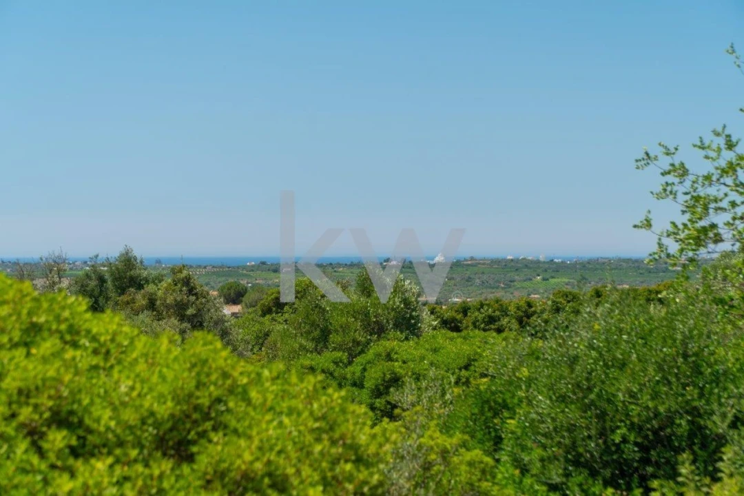 Terreno para Venda em São Bartolomeu de Messines Foto 9