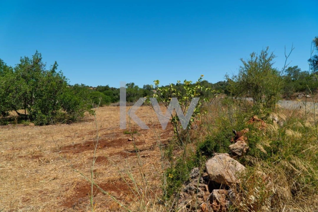 Terreno para Venda em São Bartolomeu de Messines Foto 15