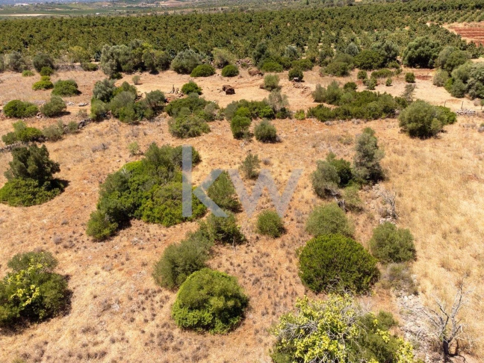 Terreno para Venda em São Bartolomeu de Messines Foto 5