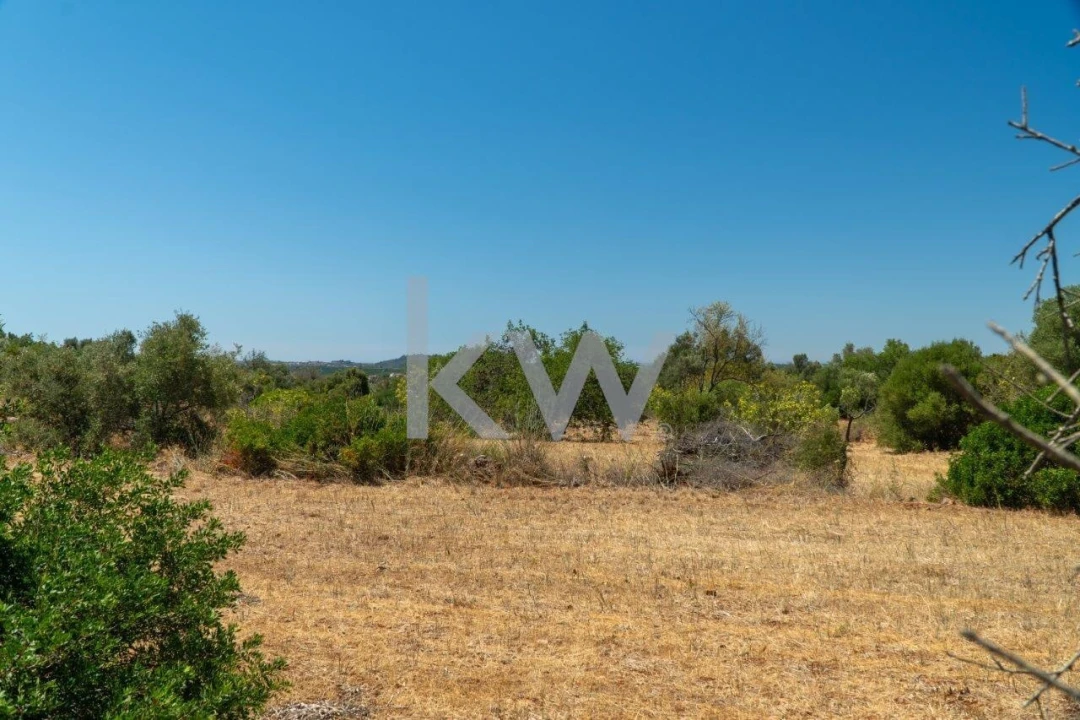 Terreno para Venda em São Bartolomeu de Messines Foto 8