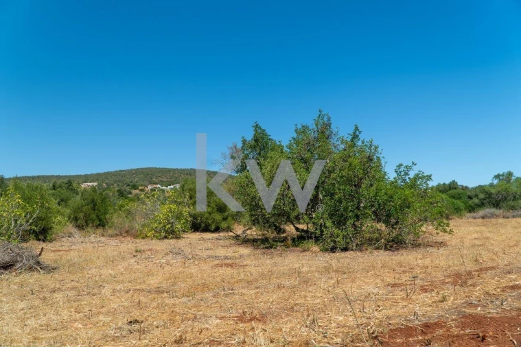 Terreno para Venda em São Bartolomeu de Messines Foto 14