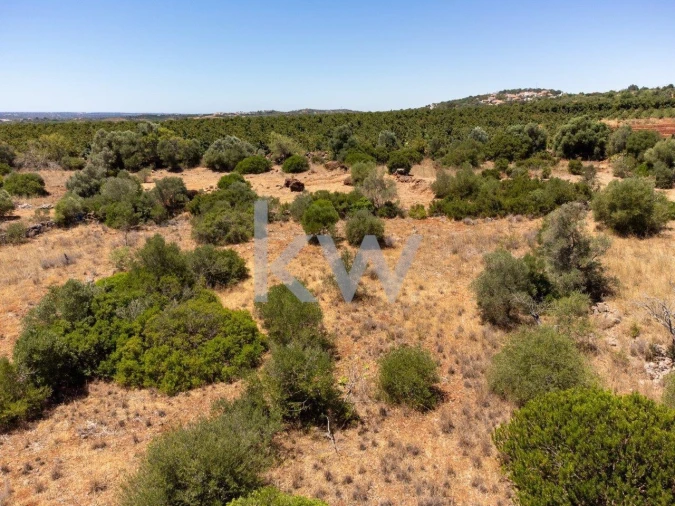 Terreno para Venda em São Bartolomeu de Messines Foto 2