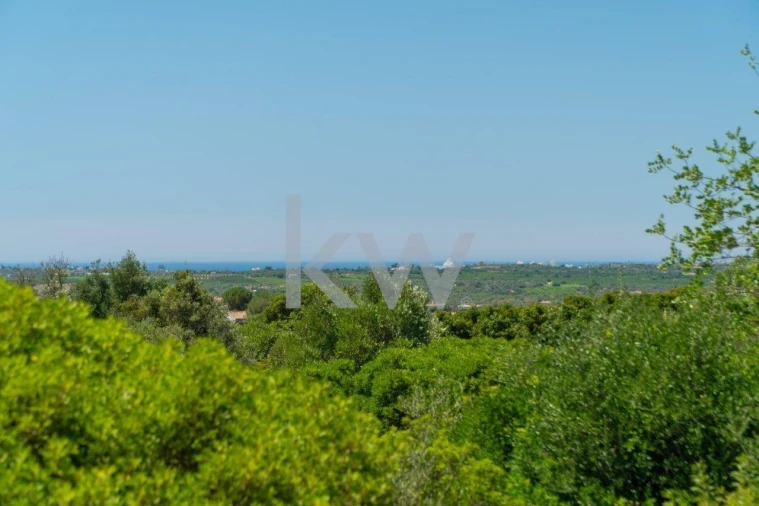 Terreno para Venda em São Bartolomeu de Messines Foto 9