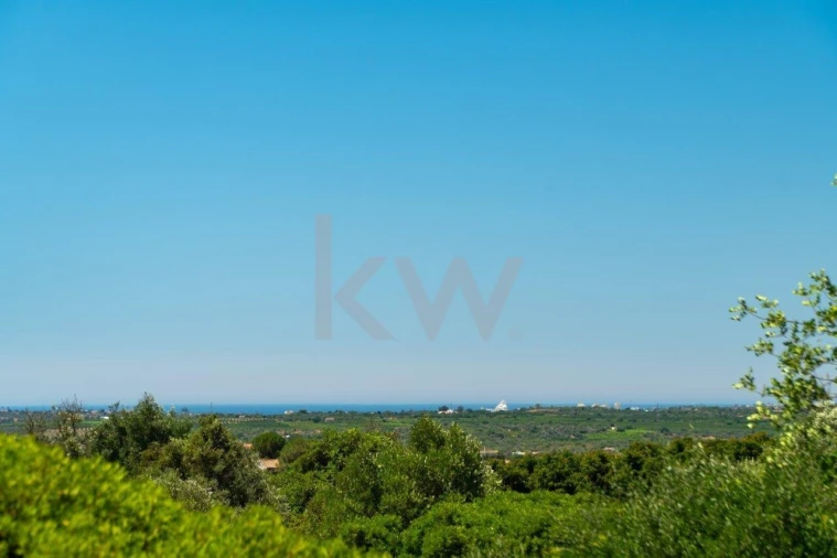 Terreno para Venda em São Bartolomeu de Messines Foto 12