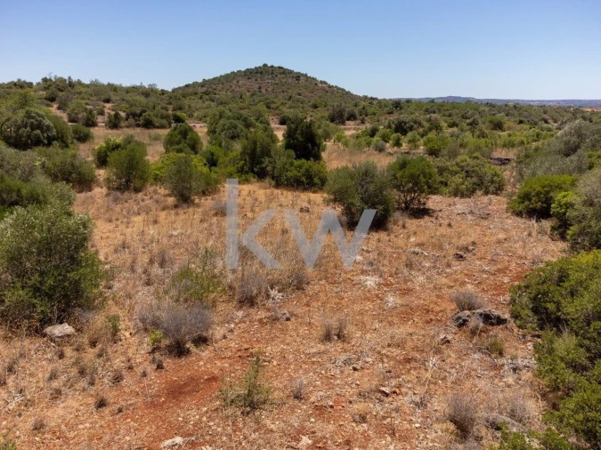 Terreno para Venda em São Bartolomeu de Messines Foto 4