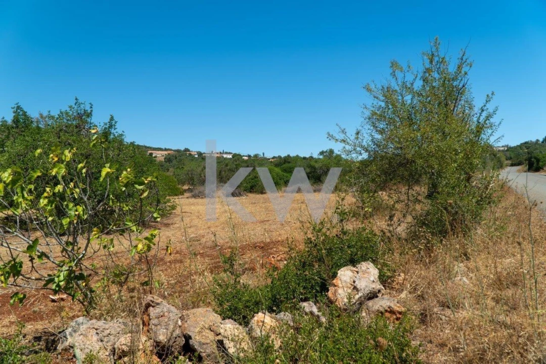 Terreno para Venda em São Bartolomeu de Messines Foto 10