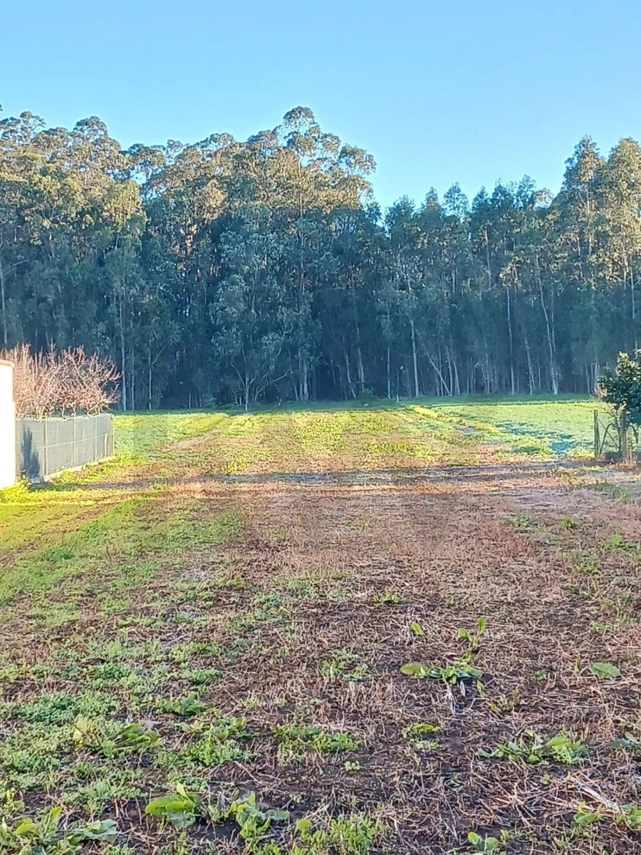 Terreno para Venda em Ovar, São João, Arada e São Vicente de Pereira Jusã Foto 4