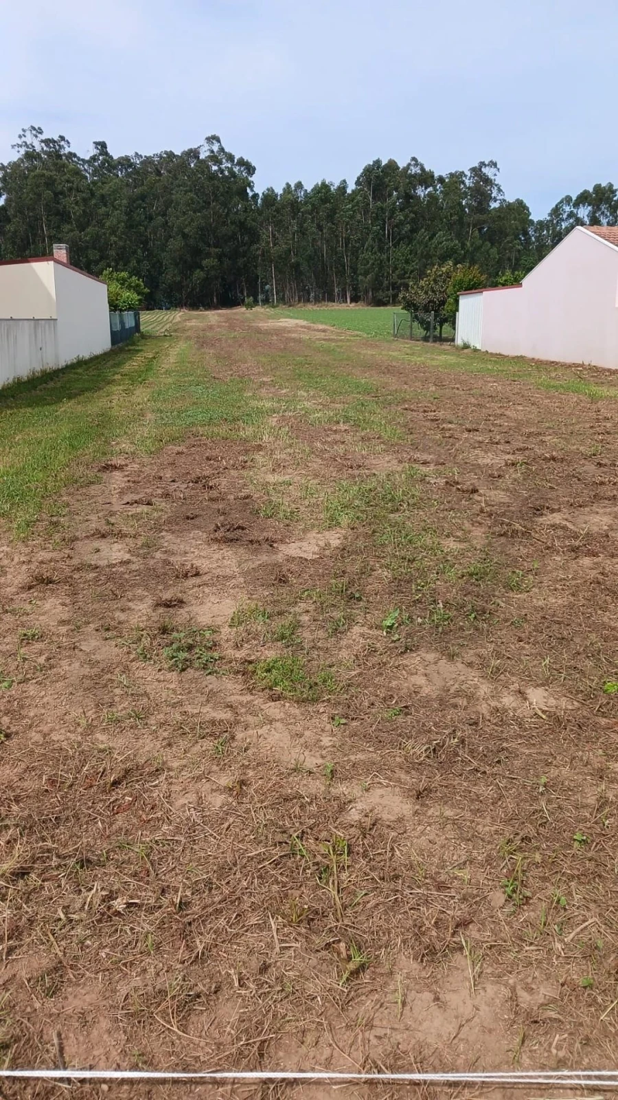 Terreno para Venda em Ovar, São João, Arada e São Vicente de Pereira Jusã Foto 3