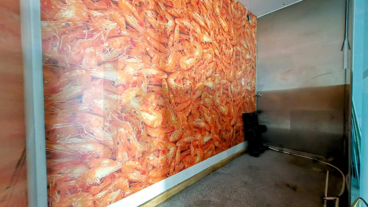 Loja para Venda em Santo Antonio dos Olivais Foto 15