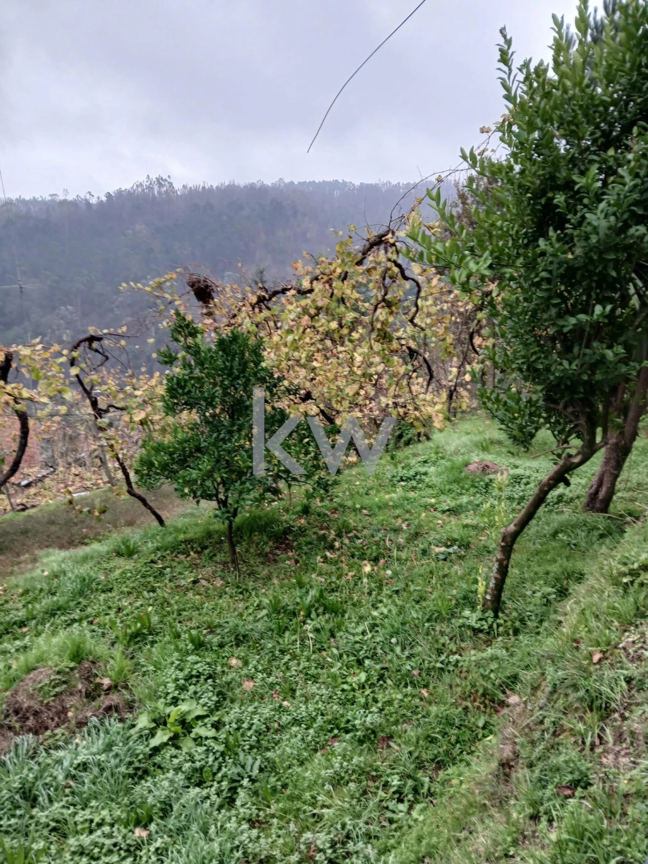 Moradia T3 para Venda em Agilde Foto 9