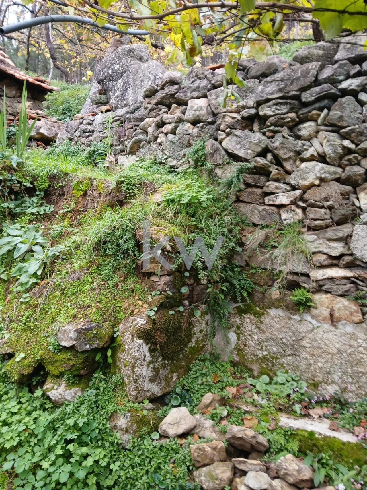 Moradia T3 para Venda em Agilde Foto 35