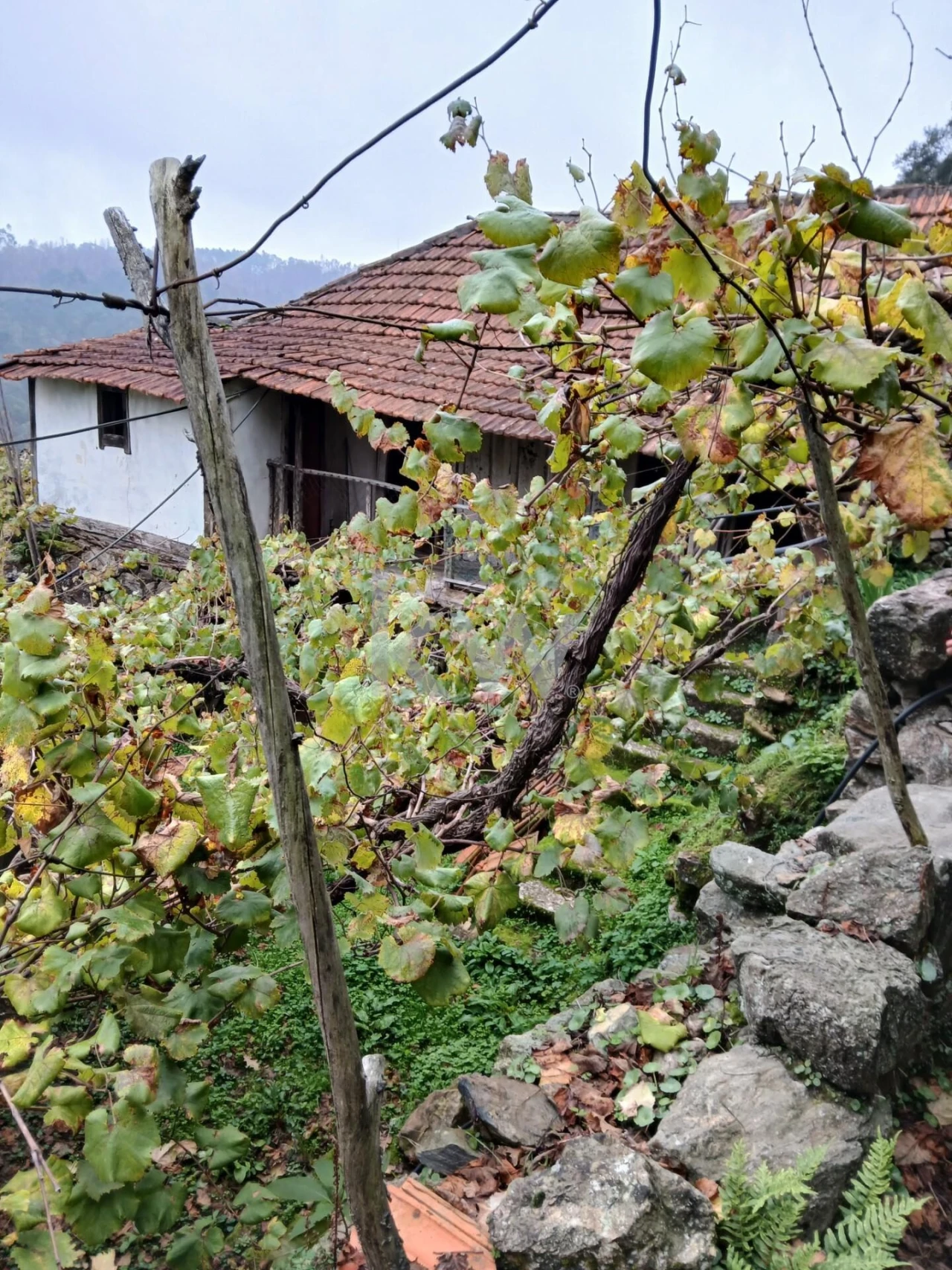 Moradia T3 para Venda em Agilde Foto 3