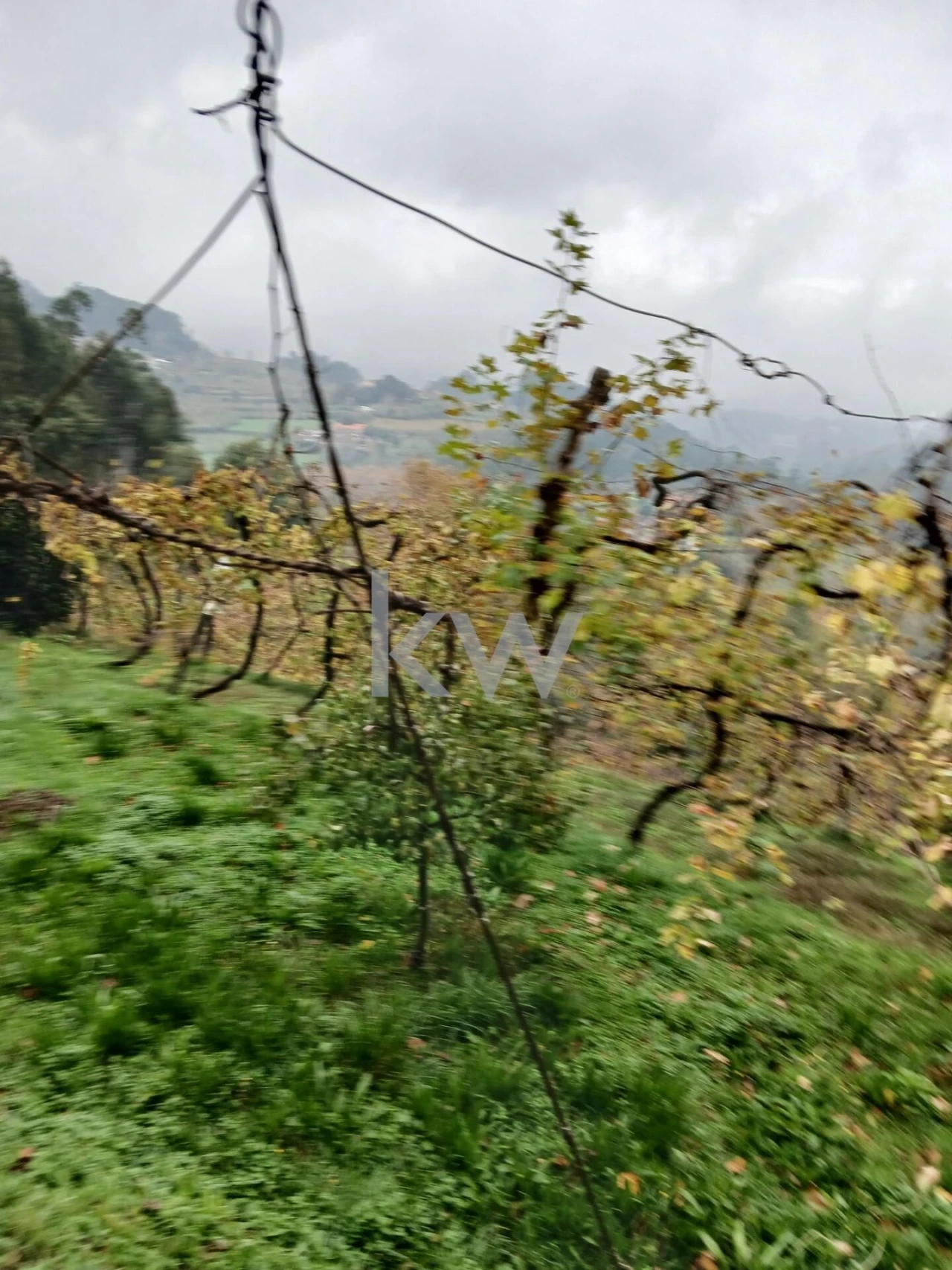 Moradia T3 para Venda em Agilde Foto 13