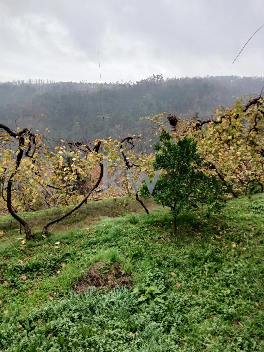 Moradia T3 para Venda em Agilde Foto 10