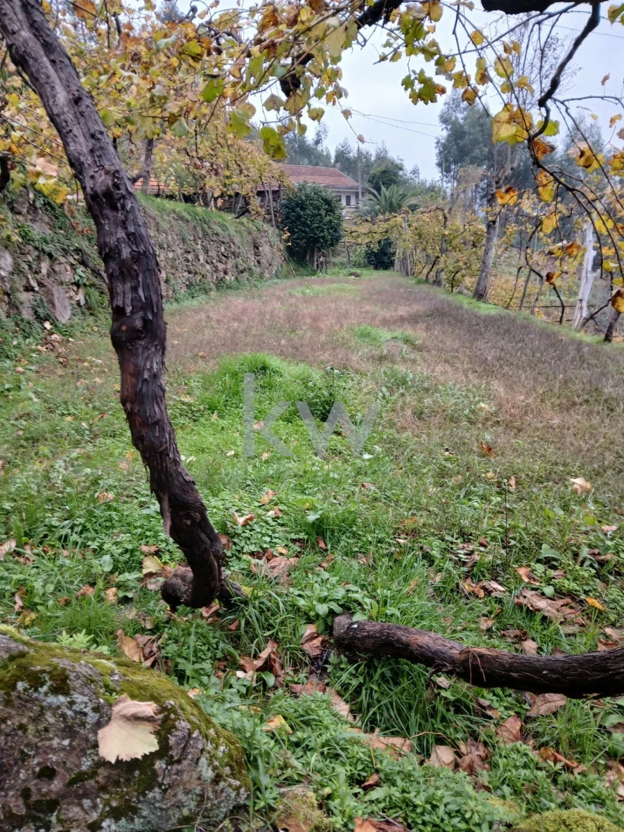 Moradia T3 para Venda em Agilde Foto 14