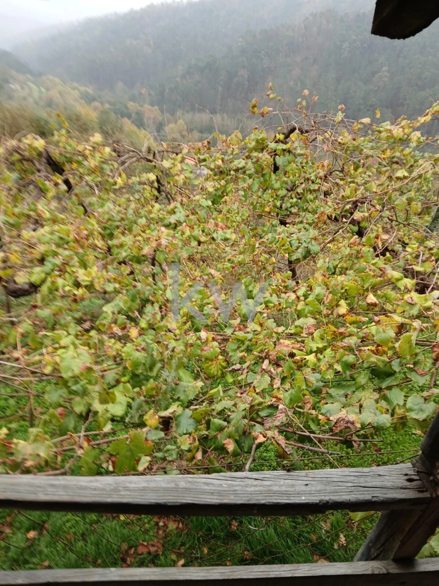 Moradia T3 para Venda em Agilde Foto 32