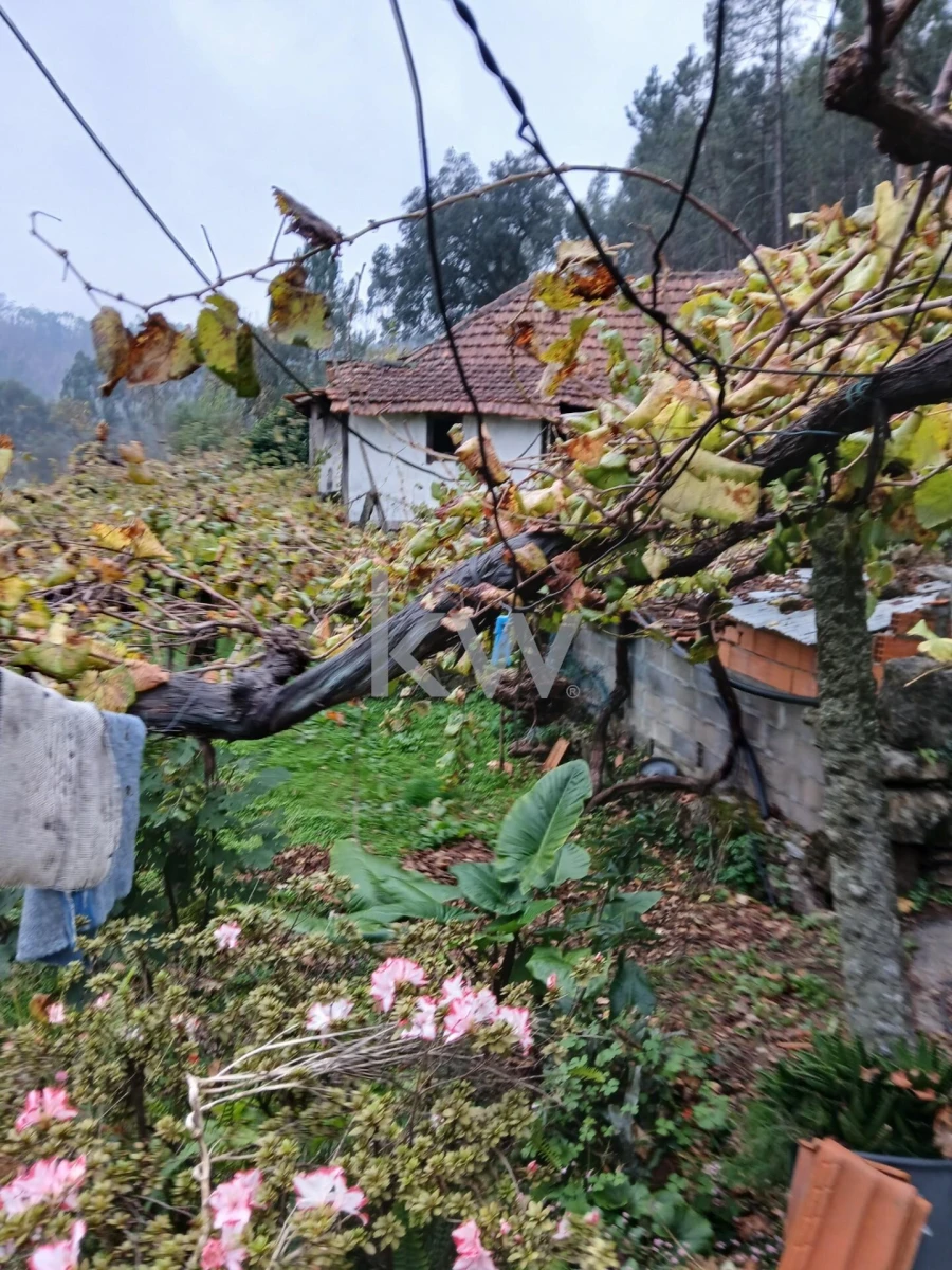 Moradia T3 para Venda em Agilde Foto 38