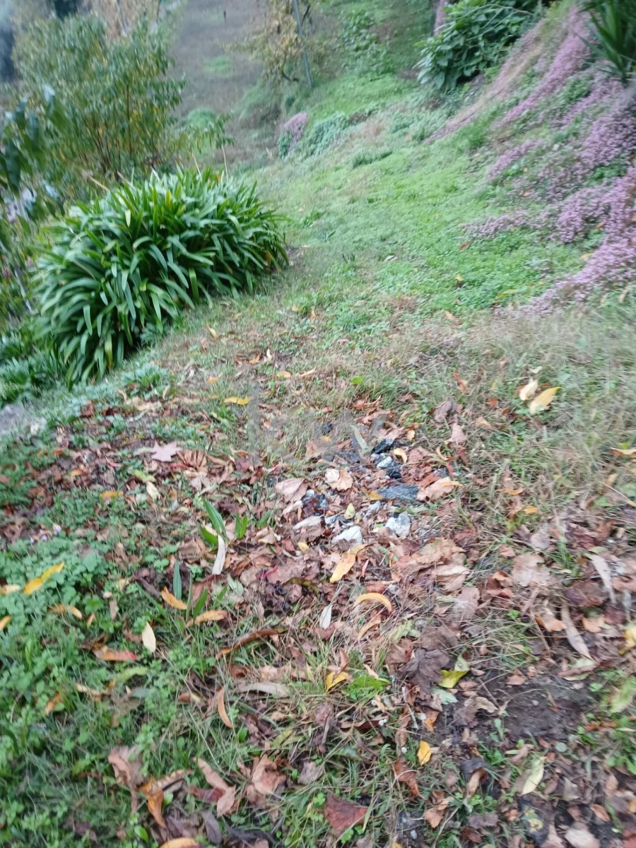 Moradia T3 para Venda em Agilde Foto 19