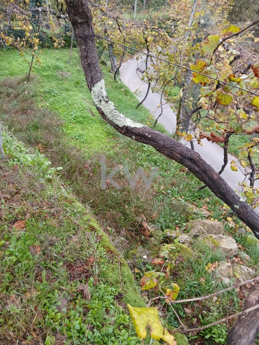 Moradia T3 para Venda em Agilde Foto 17