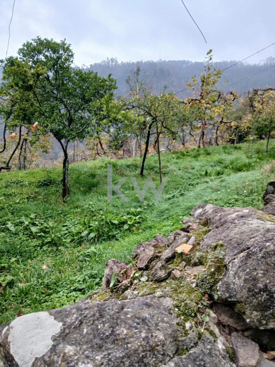 Moradia T3 para Venda em Agilde Foto 8