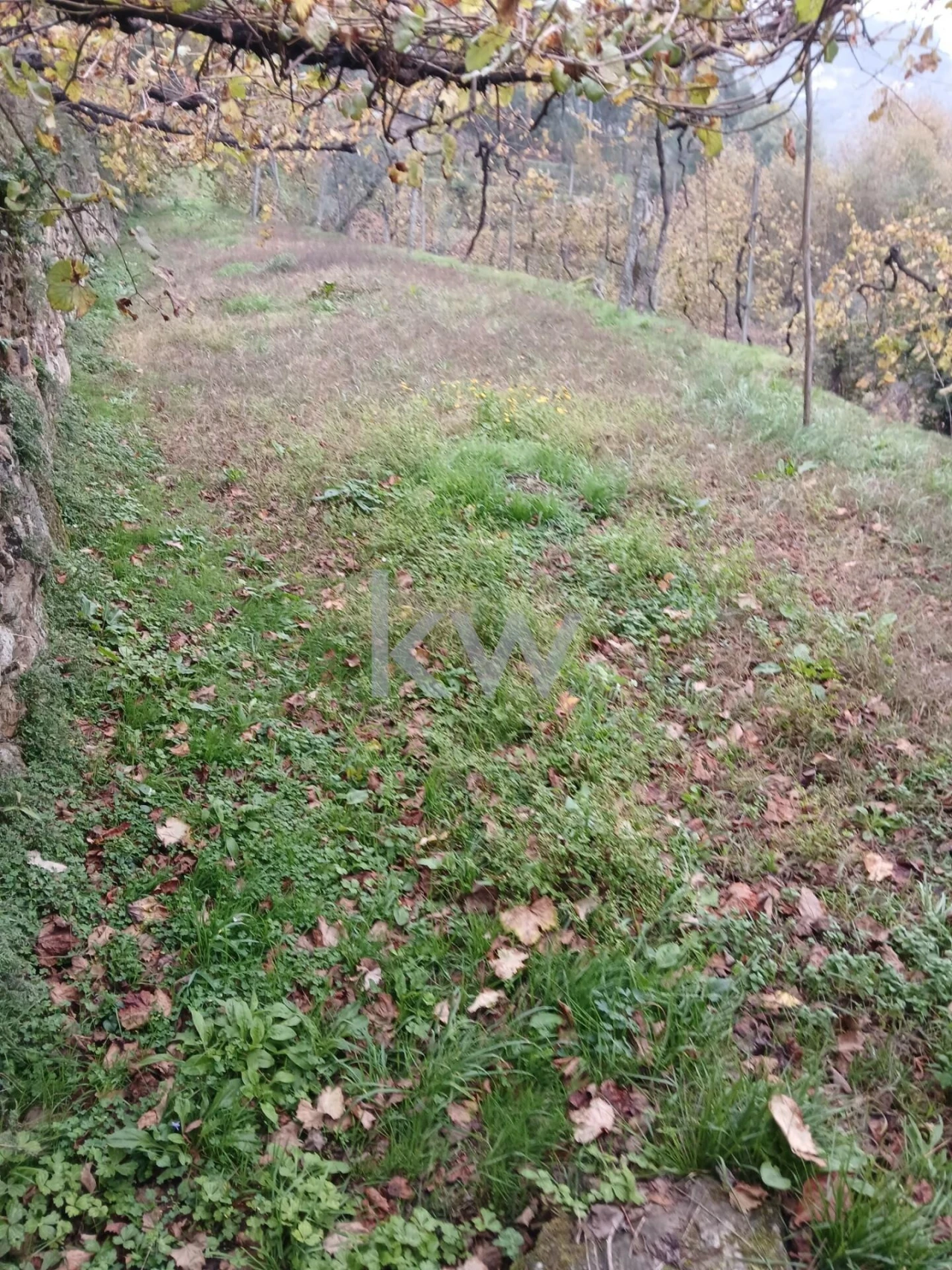 Moradia T3 para Venda em Agilde Foto 15