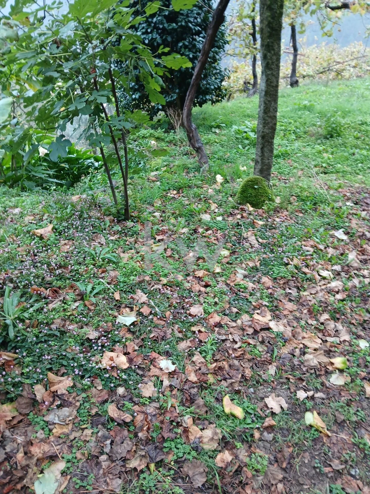 Moradia T3 para Venda em Agilde Foto 20