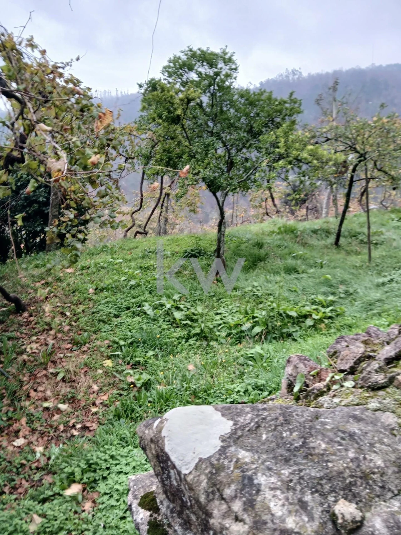 Moradia T3 para Venda em Agilde Foto 7