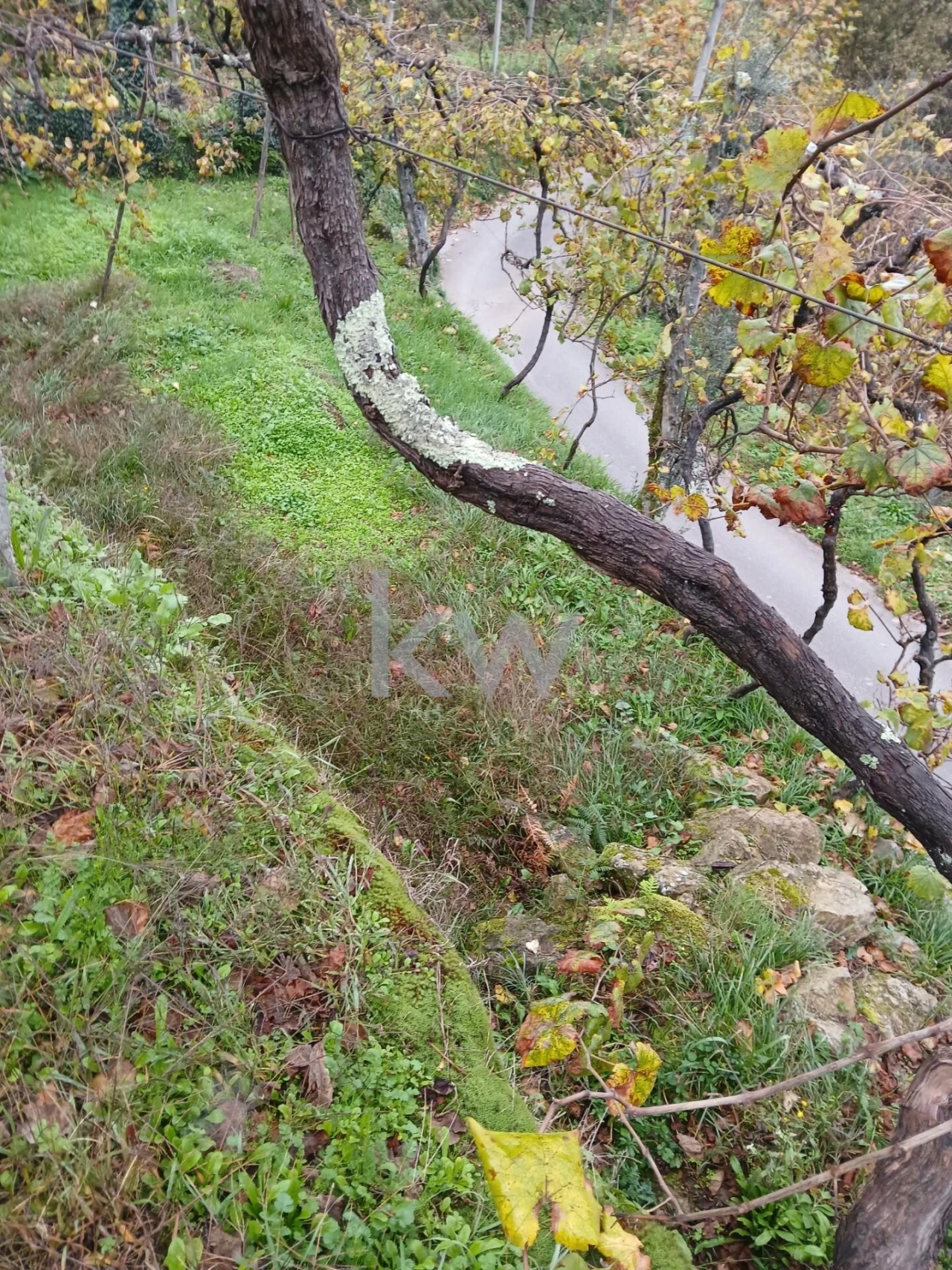 Moradia T3 para Venda em Agilde Foto 17