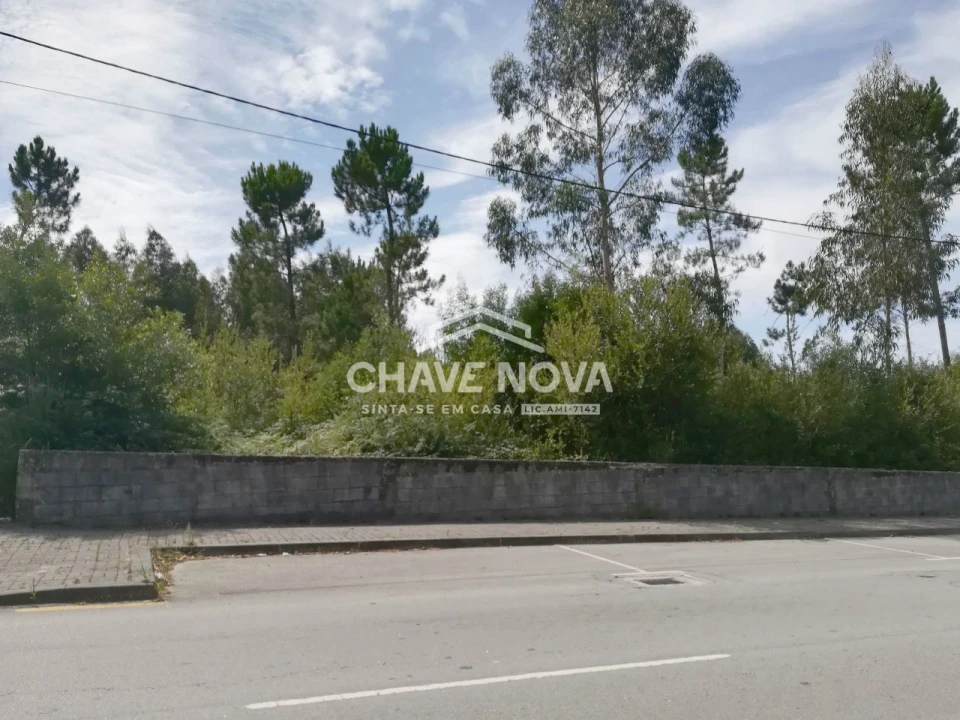 Terreno P/ Prédio para Venda em São João de Ver Foto 2